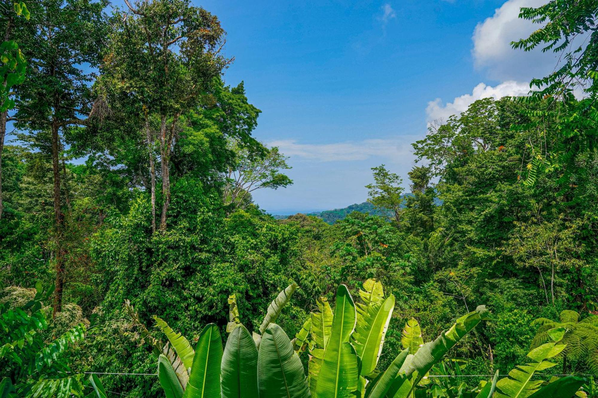 Casa Vista Verde Uvita Bagian luar foto